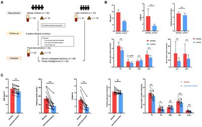 Integrative metagenomic and lipidomic analyses reveal alterations in children with obesity and after lifestyle intervention